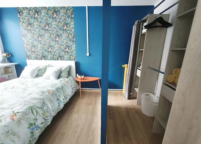 公寓 T3 Lumineux, Hyper-centre Toulouse, Metro Saint-cyprien, Netflix & Youtube Premium 圖盧茲